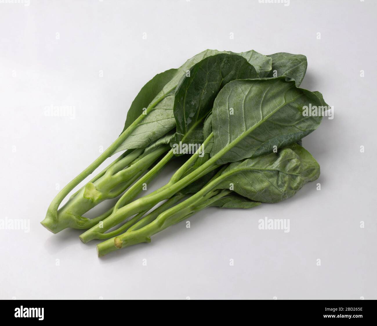 Frische grüne Kales isoliert auf weißem Hintergrund Stockfoto