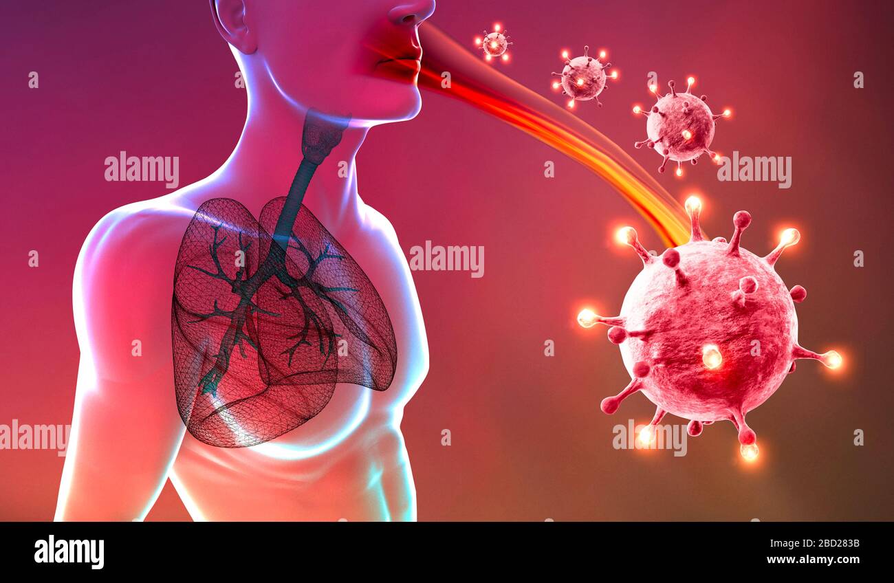 Röntgenansicht der Lunge und Luftröhre, Coronavirus, vom menschlichen Körper. Virus, das die Atmungsorgane angreift. Covid-19. 3D-Rendering. Virusinfektionsausbreitung. Stockfoto