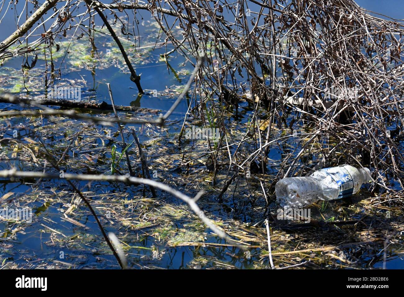 Transparente Kunststoffflasche schwimmt in der örtlichen Wasserstraße Stockfoto