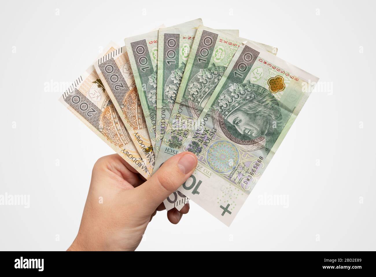 Hand, die PLN-Banknoten hält. Polnisches Zloty-Währungs-, Lohn- oder Darlehenskonzept, handisoliert Stockfoto