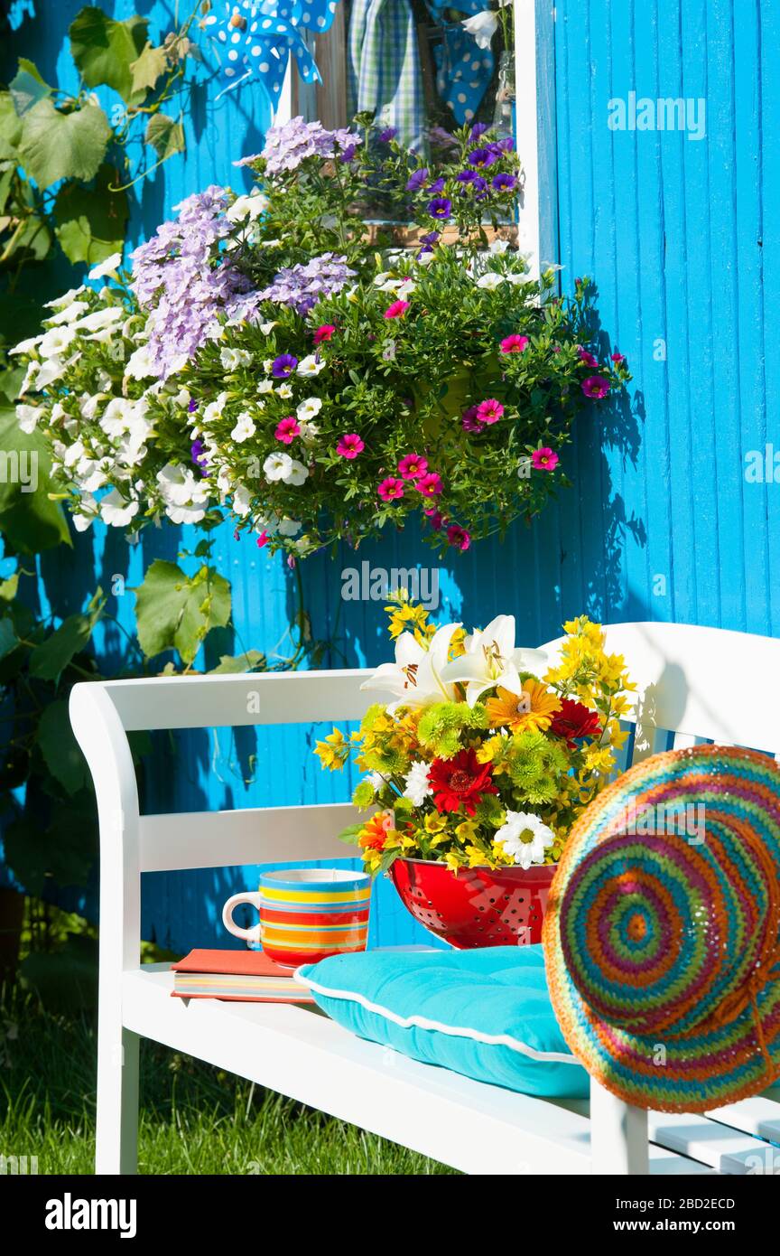 Bunte Sommerblumen in einer Schüssel auf einer Gartenbank in einem Sommergarten Stockfoto