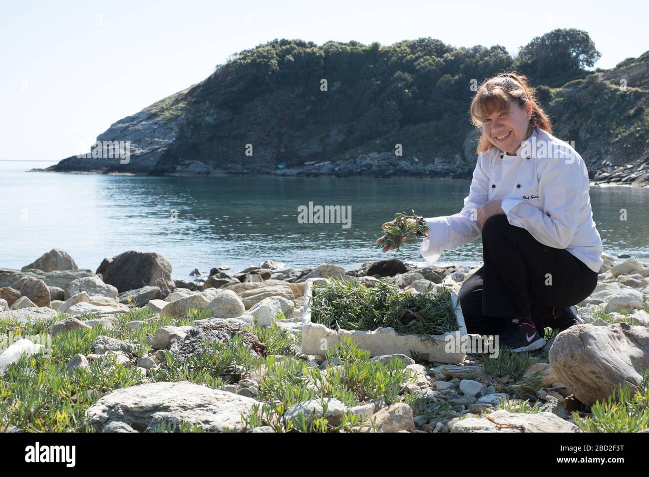 Sechs Schlüssel Restaurantkoch Antonia Konomi, der vor der Küste der griechischen Halbinsel Pelion forst Stockfoto