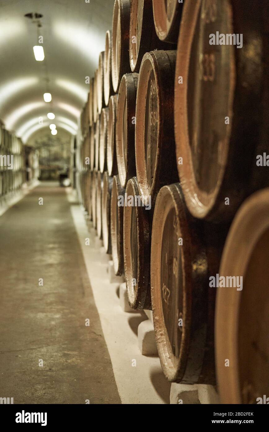 Hintergrund der Weinfässer in Weingewölben. Gemischte Medien. Innenbereich des Weingewölbes mit Holzfässern. Stockfoto