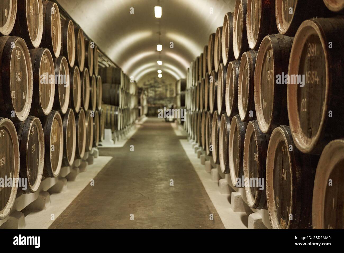 Hintergrund der Weinfässer in Weingewölben. Gemischte Medien. Innenbereich des Weingewölbes mit Holzfässern. Stockfoto
