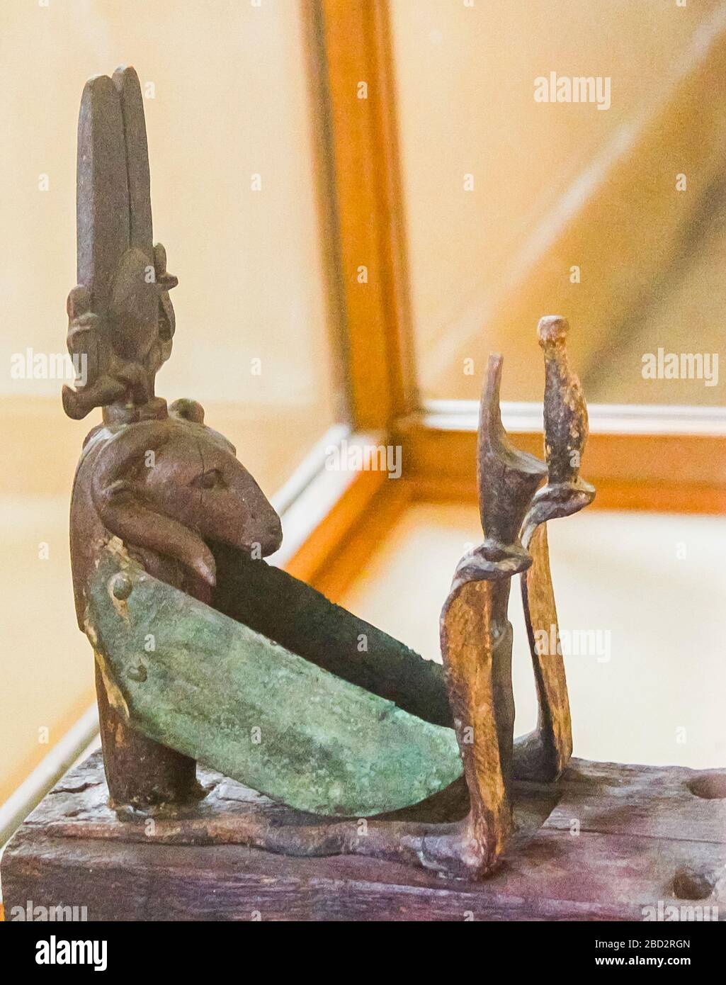 Schlangenangriff Fotos Und Bildmaterial In Hoher Auflosung Alamy