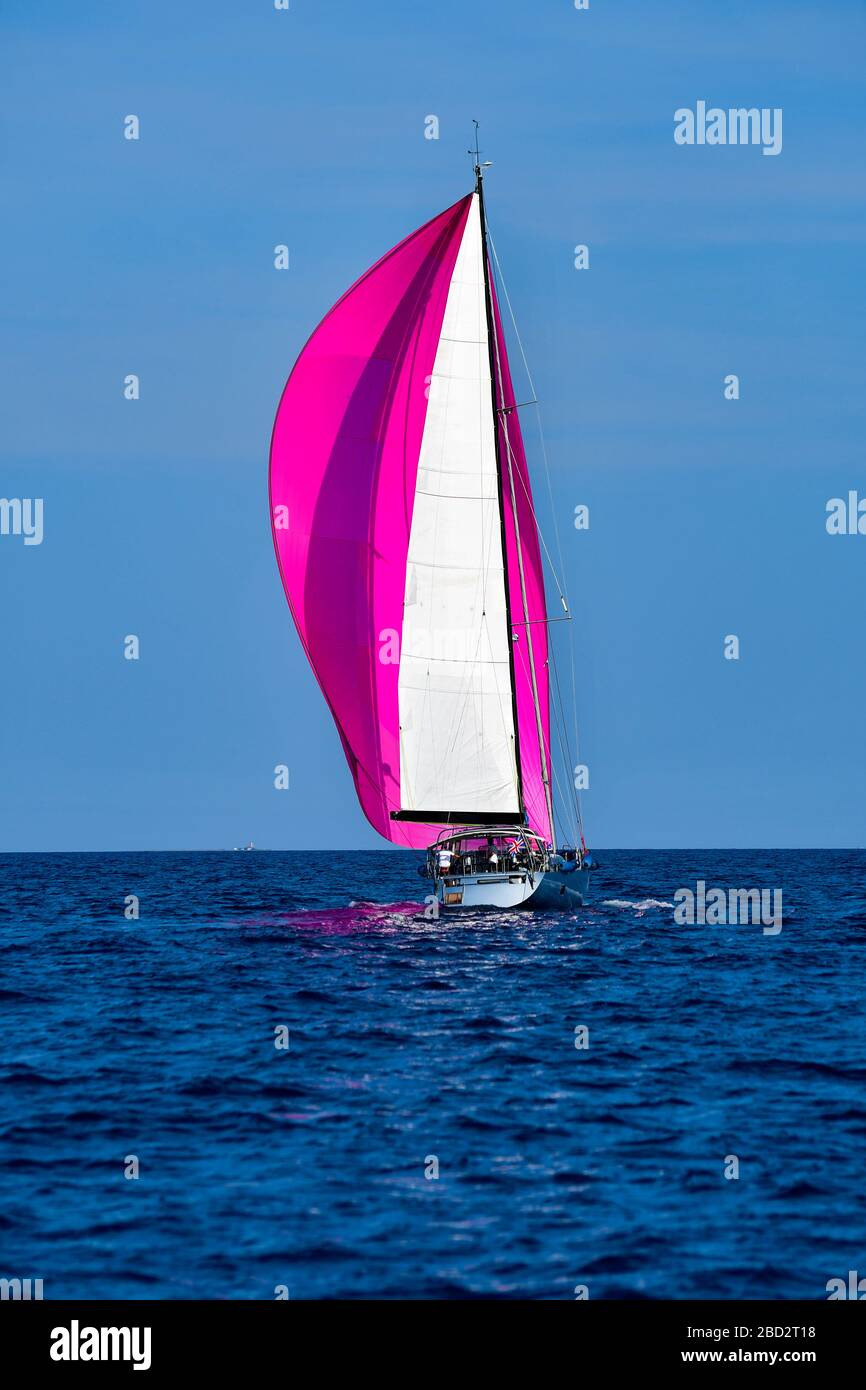 Segelboot auf offenem Meer mit großem purpurnen (rosa) Spinnaker Segel Stockfoto