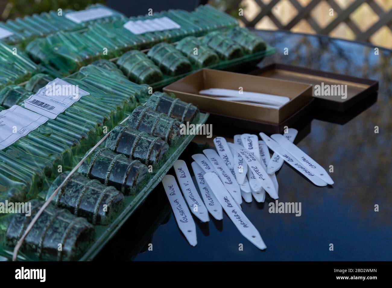 Bringen Sie Etiketten auf einem Gartentisch neben den Kerzenpflanzenpaketen an. Stockfoto