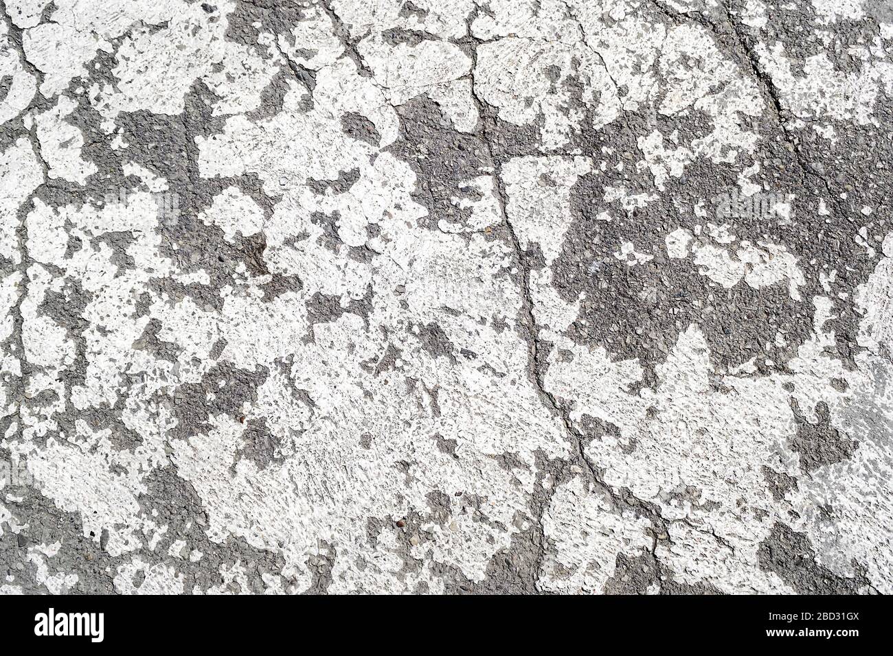 Struktur von grauem Asphalt mit alten Flecken verschütteter weißer Farbe. Alte Flecken weißer Farbe auf einer gerissenen Asphaltoberfläche. Hintergrund. Stockfoto