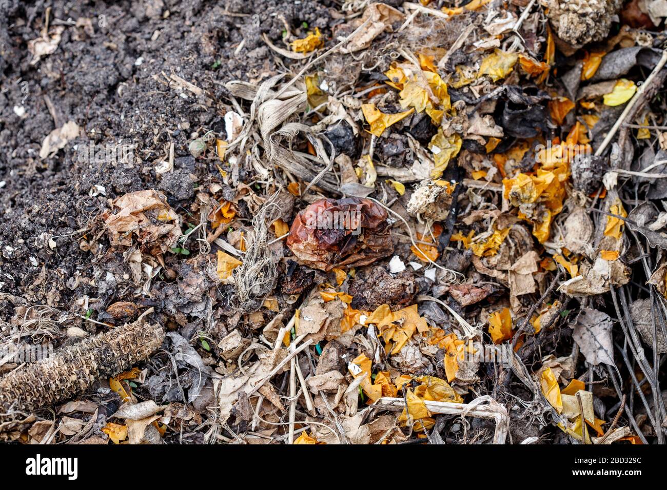 Frischer Komposthaufen, mit Gartenmaterial. Recycelte Lebensmittel. Dünger. Stockfoto