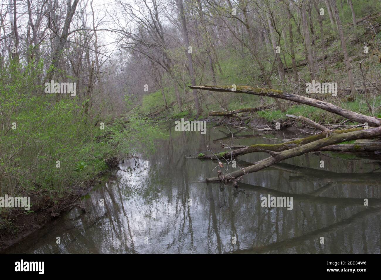 Glen Helen Preserve, Yellow Springs, Ohio Stockfoto