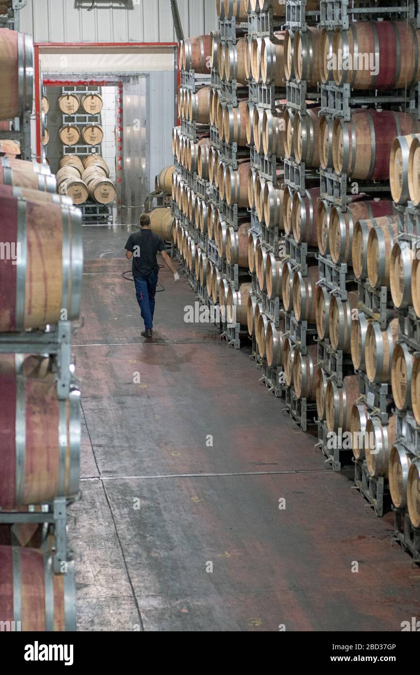 Ein Arbeiter geht durch Fässer mit alterndem koscheren Wein in einem Lagerraum der Golan Heights Winery in Katzrin, Nordisraelland. Stockfoto