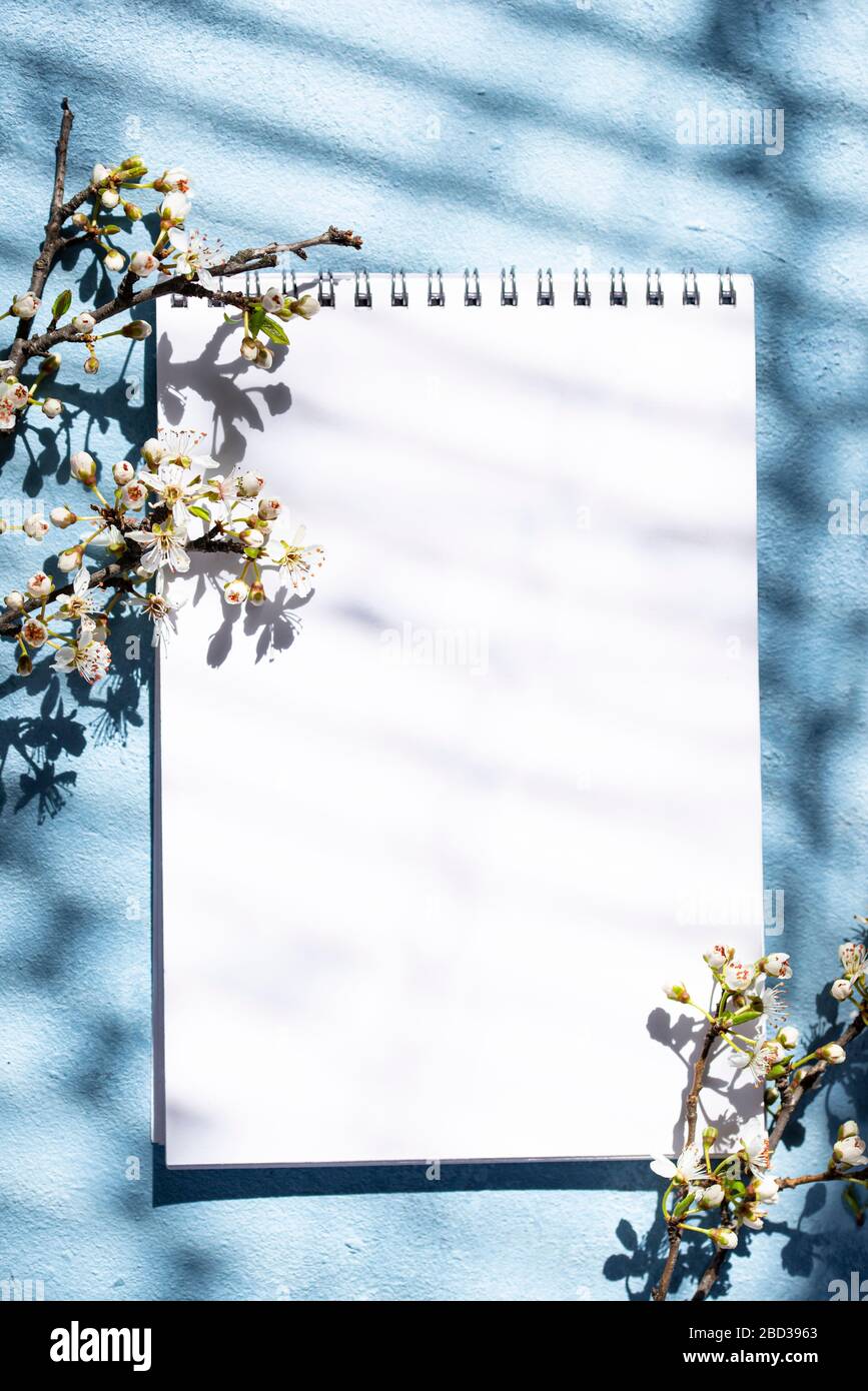 Leeres Notizbuch mit Schatten eines blühenden Baumes Stockfoto