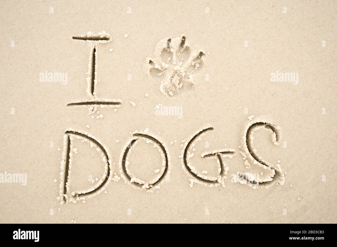 I Love Dogs Nachricht mit einem Pfotendruck anstelle des Herzens handgeschrieben auf glatten Sandstrand Stockfoto