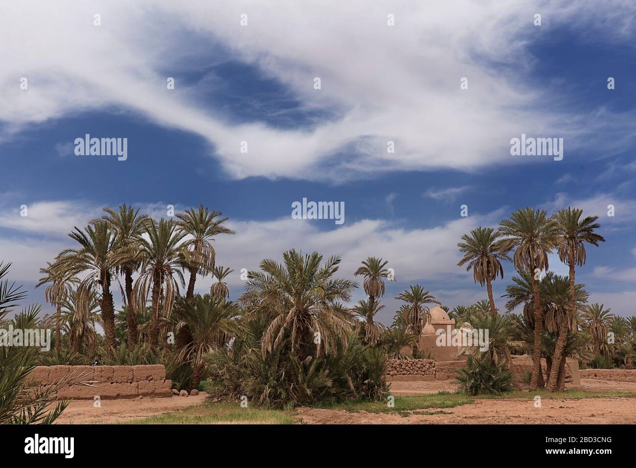 Adobe-Gebäude in M'Hamid El Ghizlane oder Lamhamid Ghozlane ist eine kleine Oasenstadt in der Provinz Zagora, Drâa-Tafilalet in Marokko, Afrika. Stockfoto