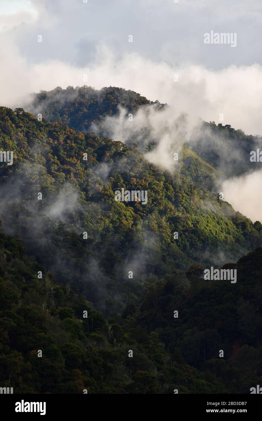 Sonnenuntergang im Los Quetzales Nationalpark Costa Rica Stockfoto