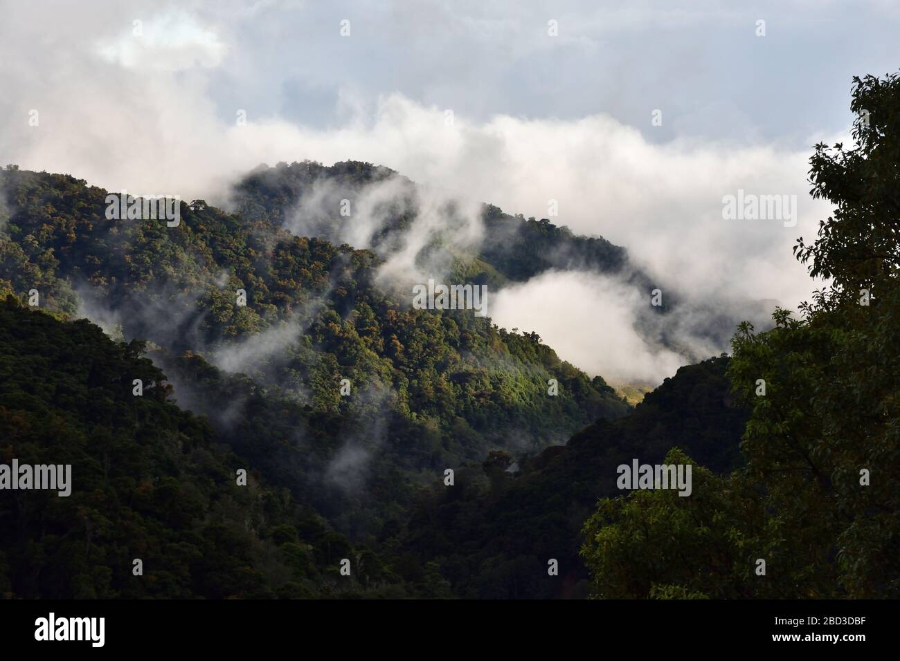 Sonnenuntergang im Los Quetzales Nationalpark Costa Rica Stockfoto