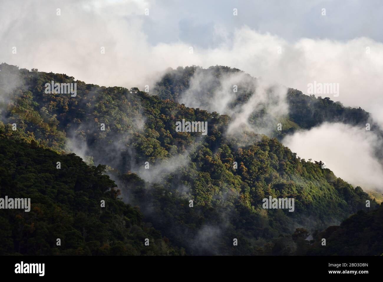 Sonnenuntergang im Los Quetzales Nationalpark Costa Rica Stockfoto