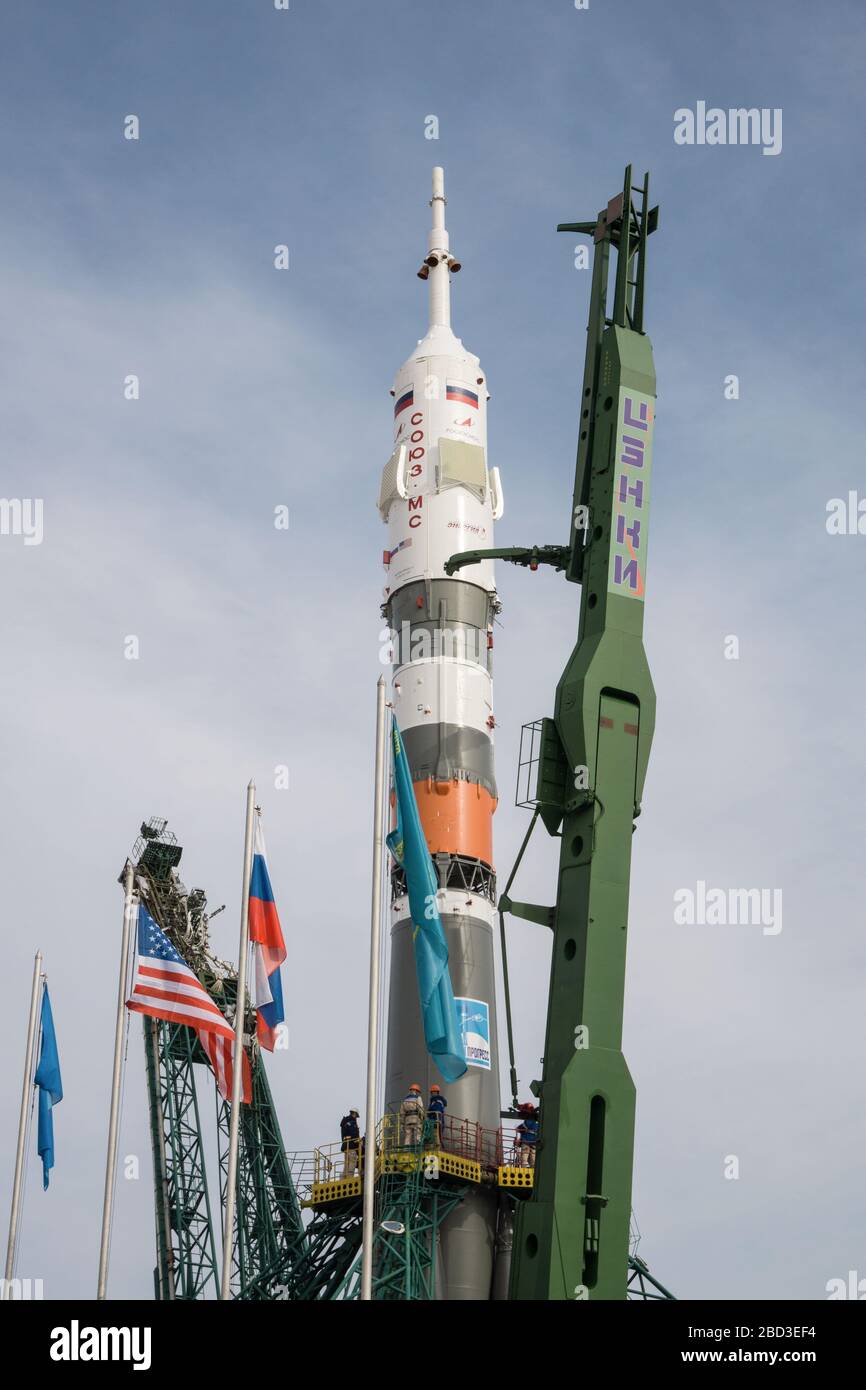 Baikonur, Kasachstan. April 2020. Das russische Raumschiff Sojus MS 16 und die Boosterrakete werden in eine vertikale Position gebracht und die Gantry am Startplatz 31 des Kosmodroms Baikonur am 6. April 2020 in Baikonur, Kasachstan, geschlossen. Die internationalen Raumstation-Expedition 63 Besatzungsmitglieder Chris Cassidy von der NASA, Anatoli Ivanishin und Ivan Vagner von Roskosmos werden am 9. April für eine sechseinhalb Monate Mission ins Orbiting-Labor starten. Credit: Victor Zelentsov/NASA/Alamy Live News Stockfoto