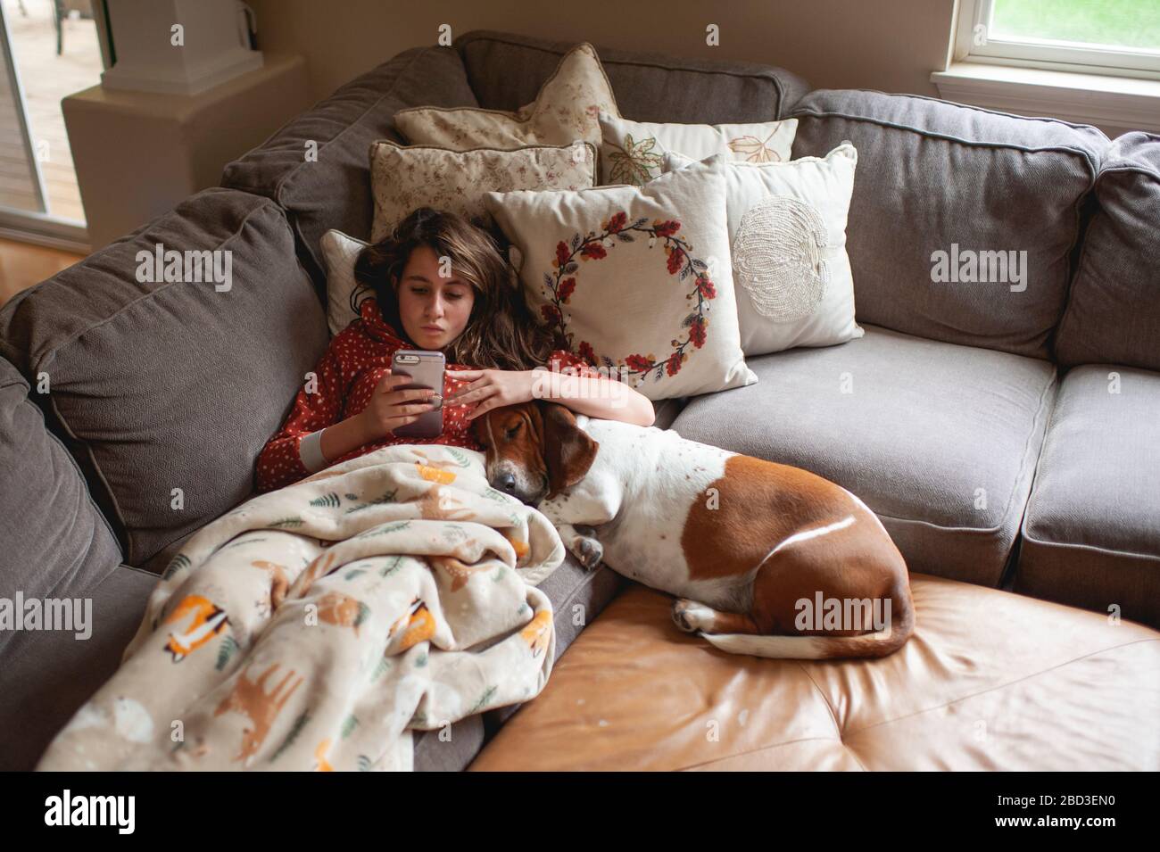 Tween Mädchen, das auf ihr Telefon schaut, während sie mit Hund auf der Couch kuscheln Stockfoto