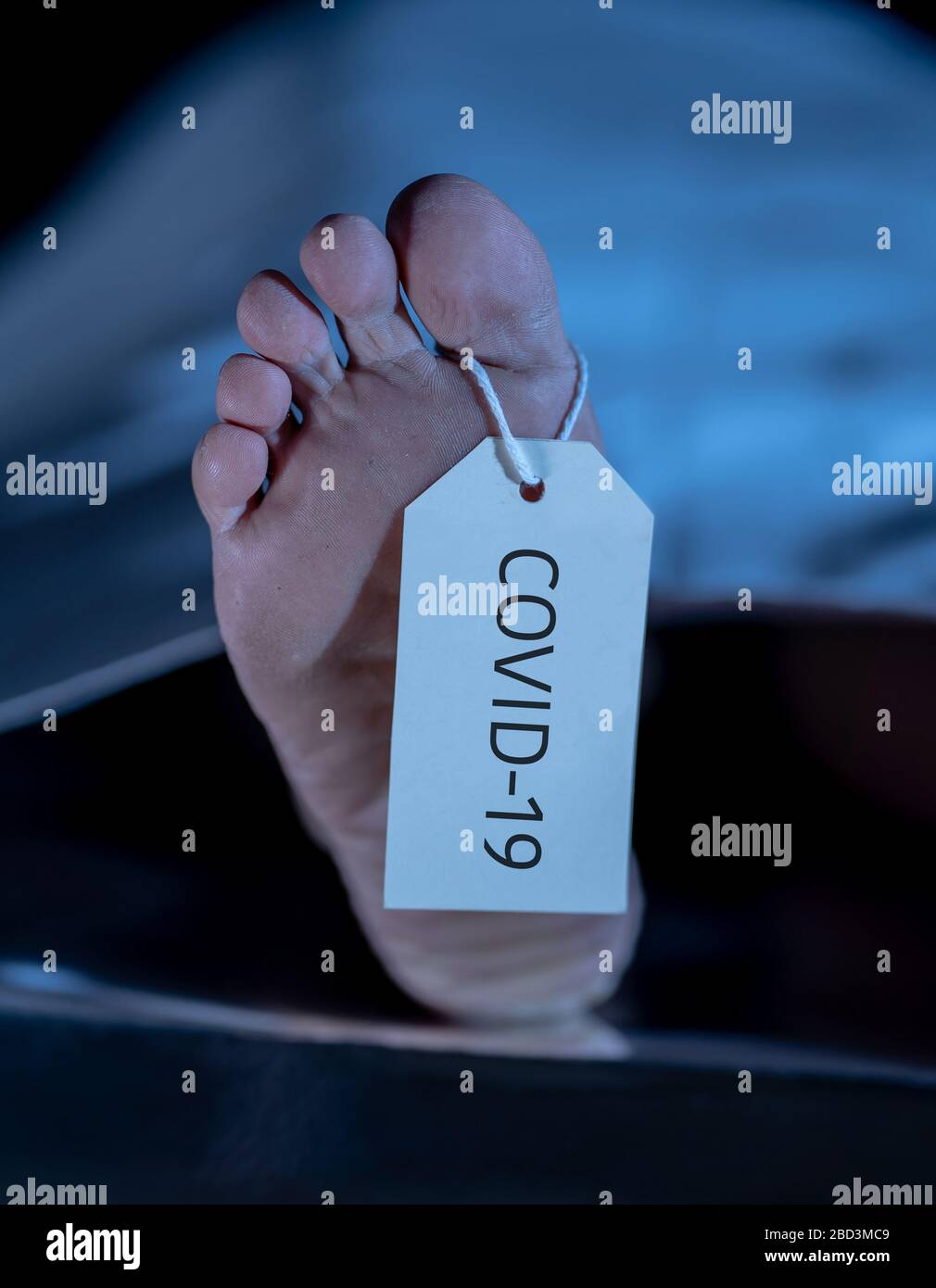 Globale Gesundheitskrise. Abbildung der Füße mit COVID-19 auf dem Zehenschild eines toten Körperopfers einer infektiösen Coronavirus-Krankheit. Heath-Warnung als Virus-dea Stockfoto