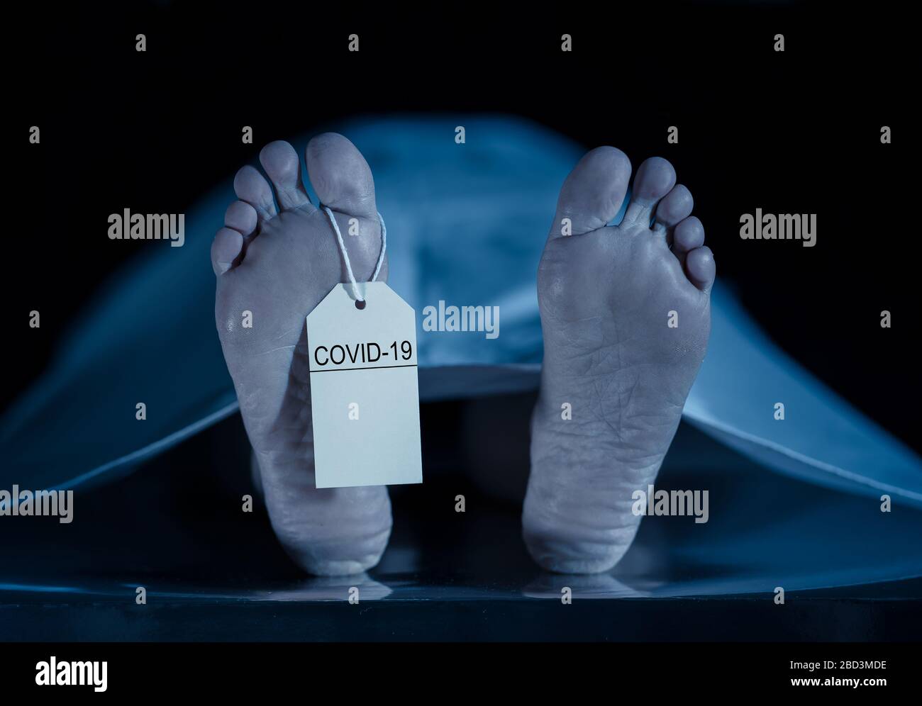 Globale Gesundheitskrise. Abbildung der Füße mit COVID-19 auf dem Zehenschild eines toten Körperopfers einer infektiösen Coronavirus-Krankheit. Heath-Warnung als Virus-dea Stockfoto