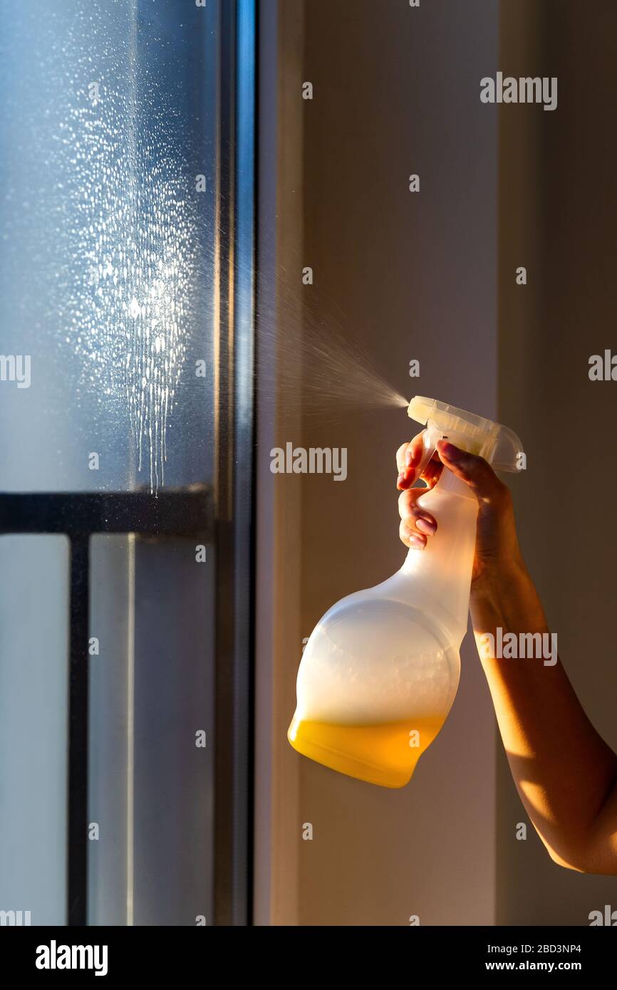 Nahaufnahme der Frau, die ein Fenster mit einer Reinigungsspritze mit gelber Waschflüssigkeit säubert. Stockfoto