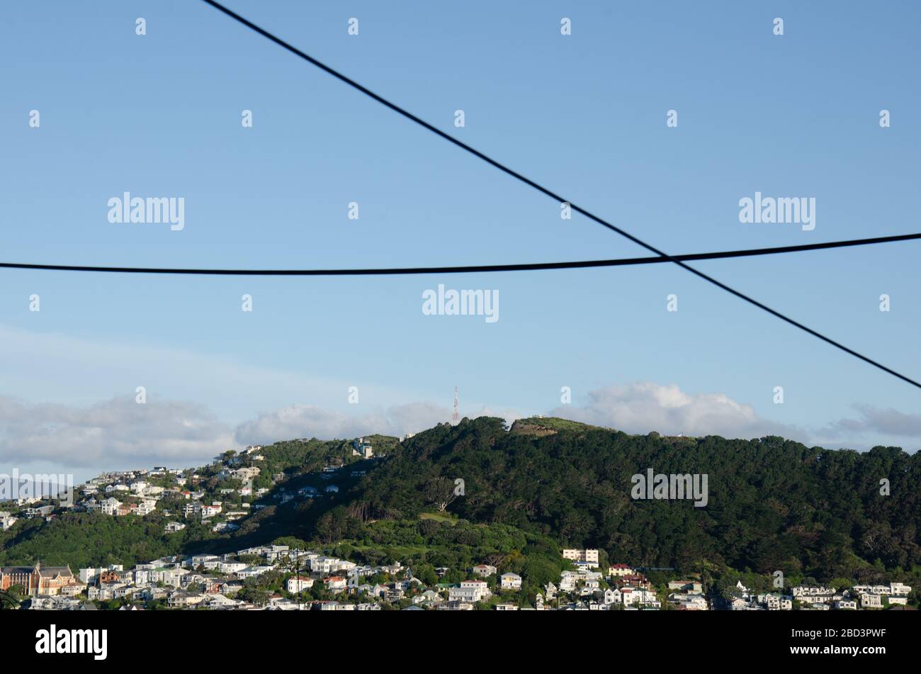 Blick auf die gebäude von wellington aus botanischen Gärten an sonnigen Tagen Stockfoto