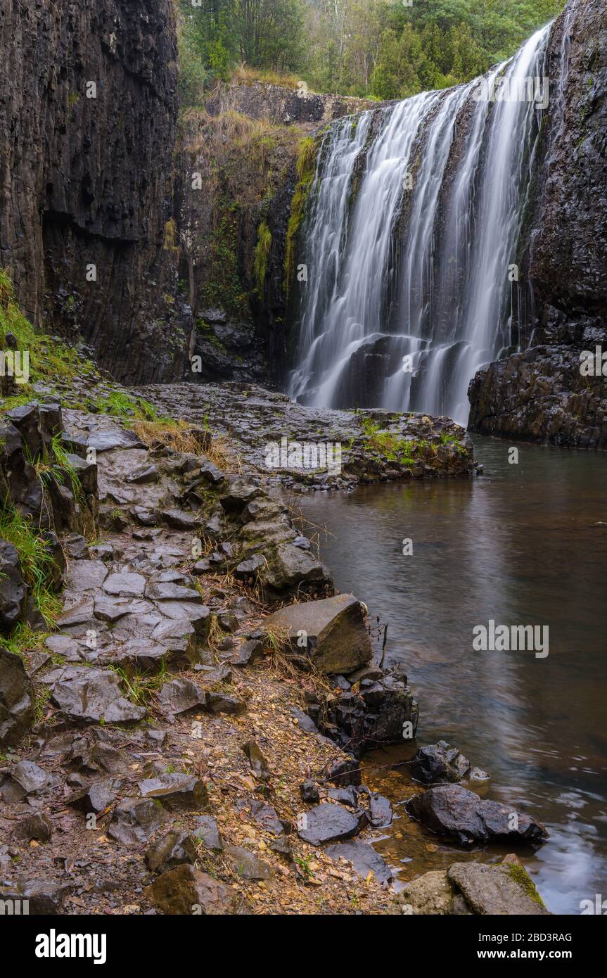 Sehen Sie sich die enge Schlucht an, die zur berühmten Vorhangkaskade an den Guide Falls an der Nordwestküste Tasmaniens führt. Stockfoto