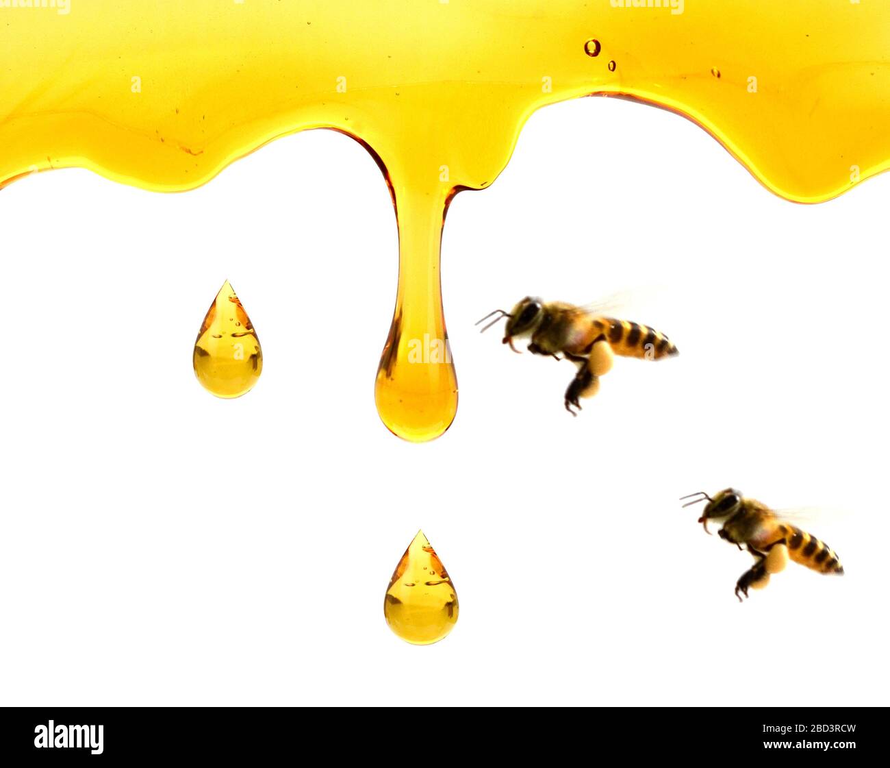 Tröpfchender Honig oder Öl Stockfoto