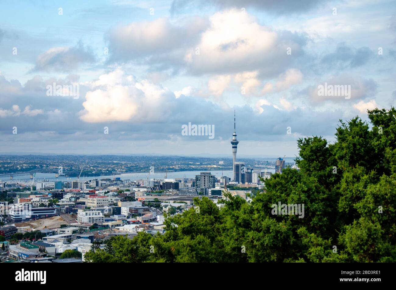 Blick auf den skytower im geschäftsviertel von auckland von Mount eden Trees Stockfoto