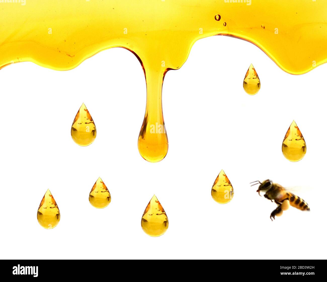 Tröpfchender Honig oder Öl Stockfoto