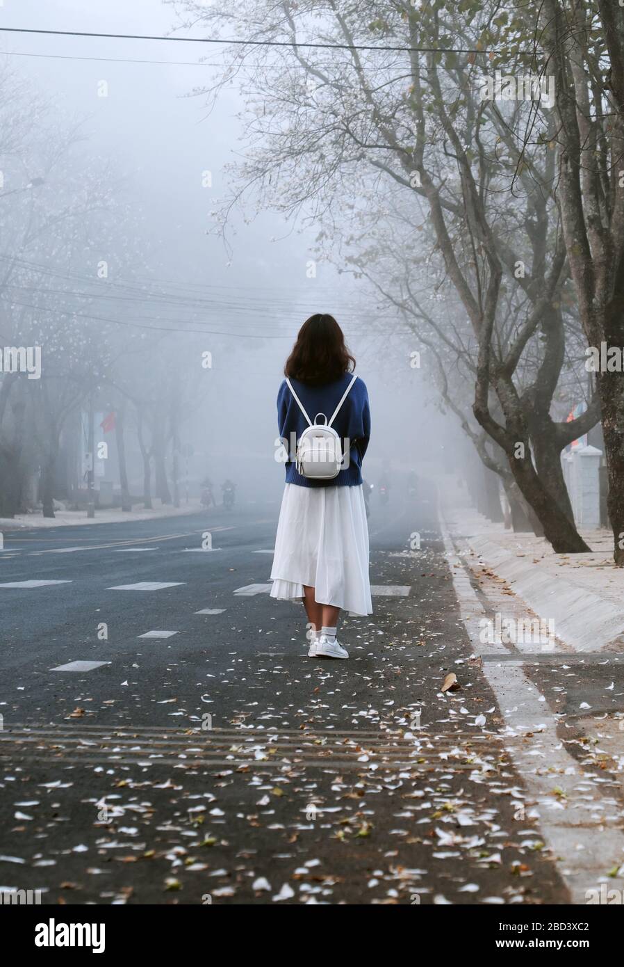 Fantastische Szene am frühen Morgen mit Mädchen tragen Rucksack, stehen, schauen nach vorne im Nebel, nebelige Straße mit Blütenblatt aus der Reihe der weißen Blume entlang der Straße Stockfoto