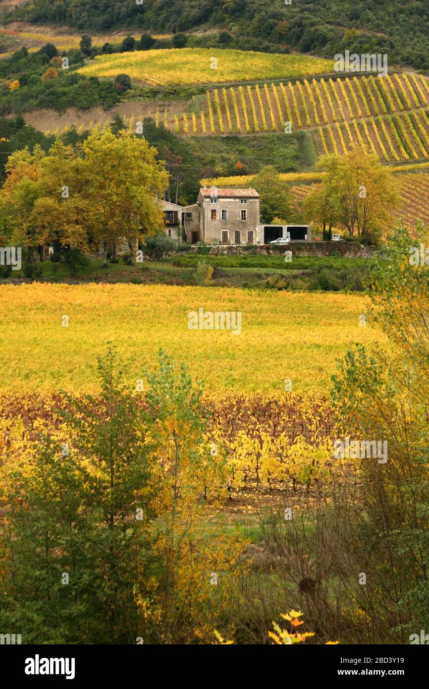 Altes Steingebäude umgeben von Herbstfarben und Weinberg das Tal der Aude Stockfoto
