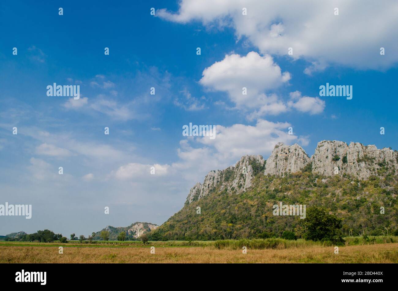 Kao Nor Kao Kawg ist ein Kalksteinberg in der Provinz Nakon sawan und hat einen grünen Reisig, blauen Himmel Stockfoto