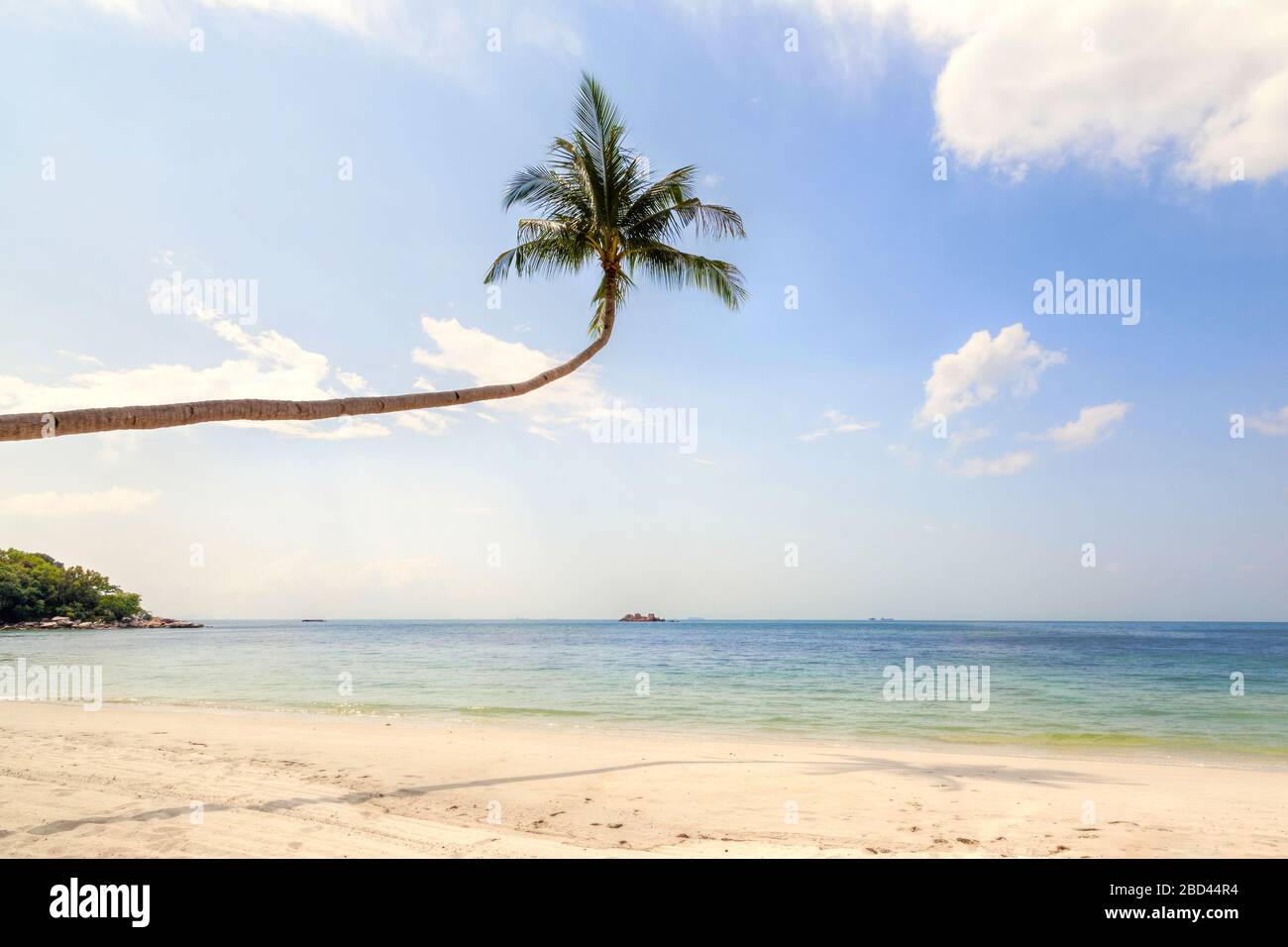 Die einzige Kokospalme biegt sich an einem tropischen Strand auf der Insel Bintan in Indonesien zum Meer hin ab. Stockfoto