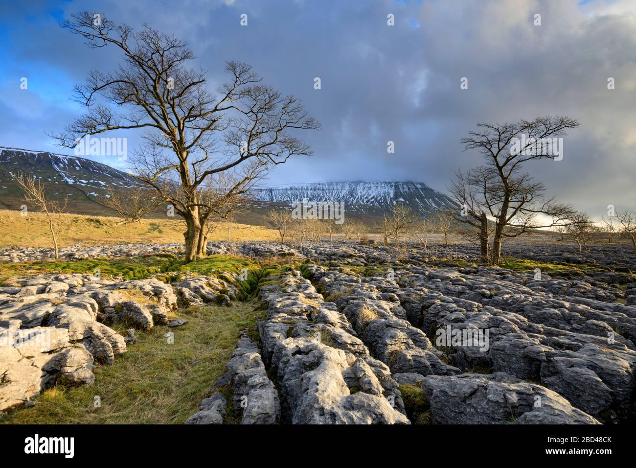 Southerscales im Yorkshire Dales National Park. Stockfoto