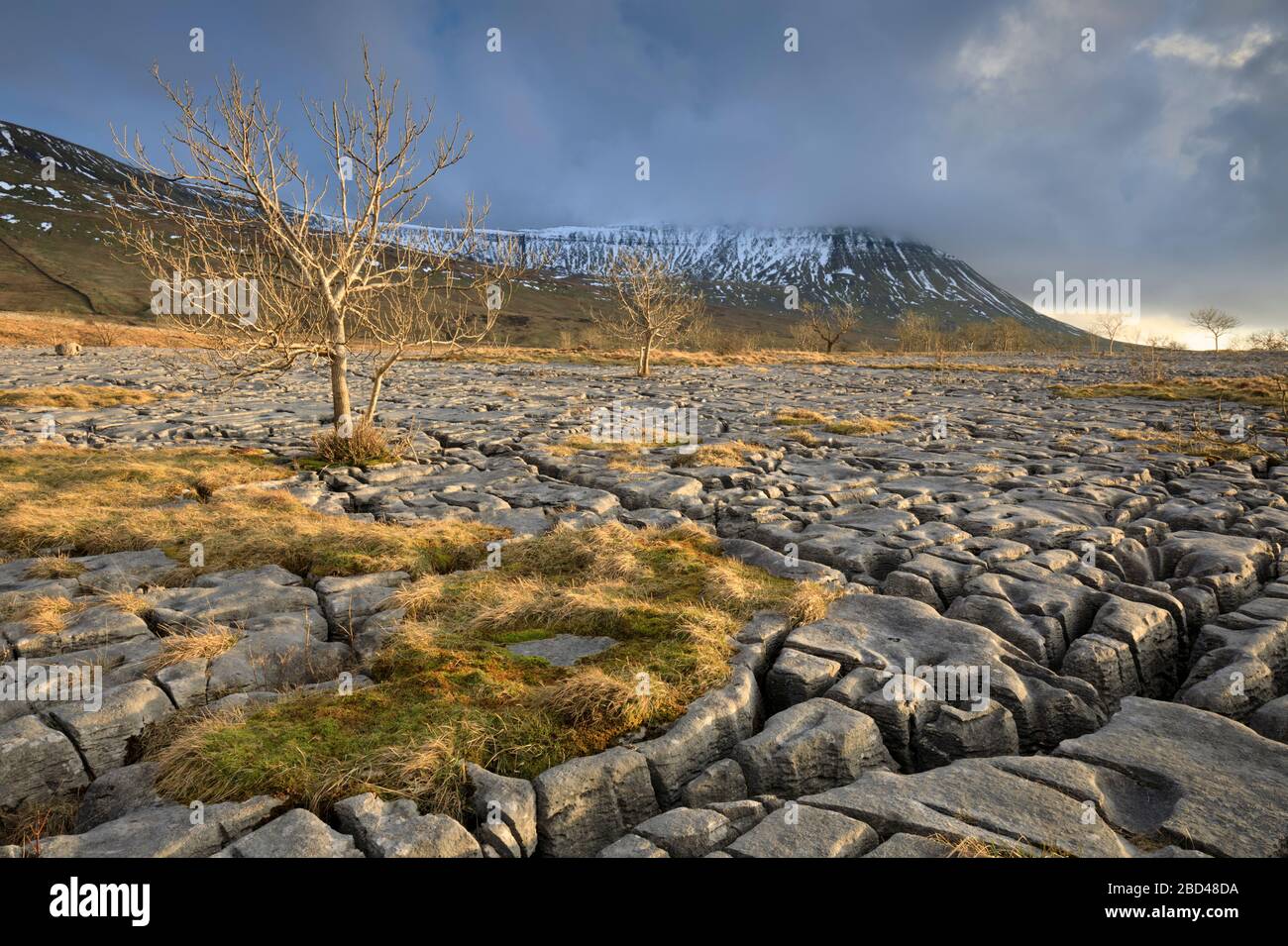 Southerscales im Yorkshire Dales National Park. Stockfoto