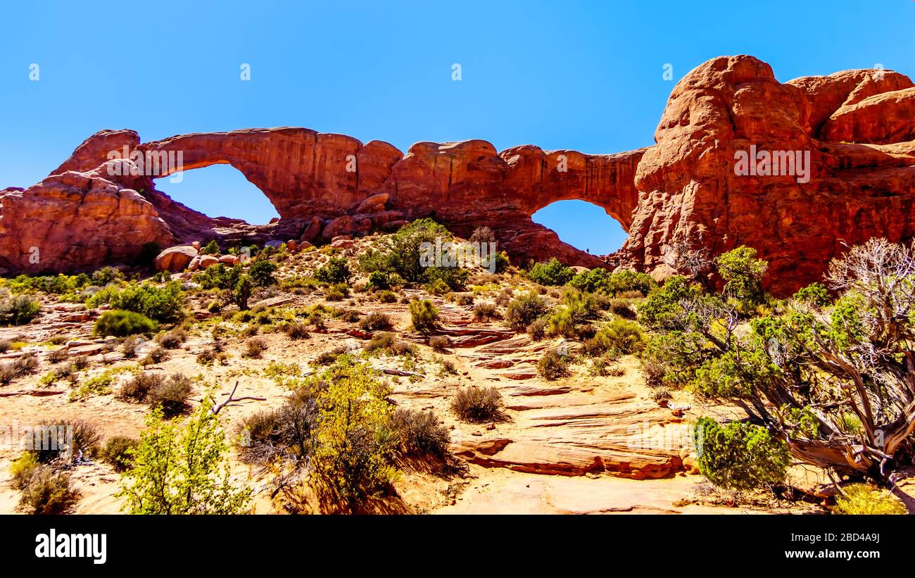 Der South Window Arch in der Windows Sektion in der Wüstenlandschaft des Arches National Park, Utah, USA Stockfoto