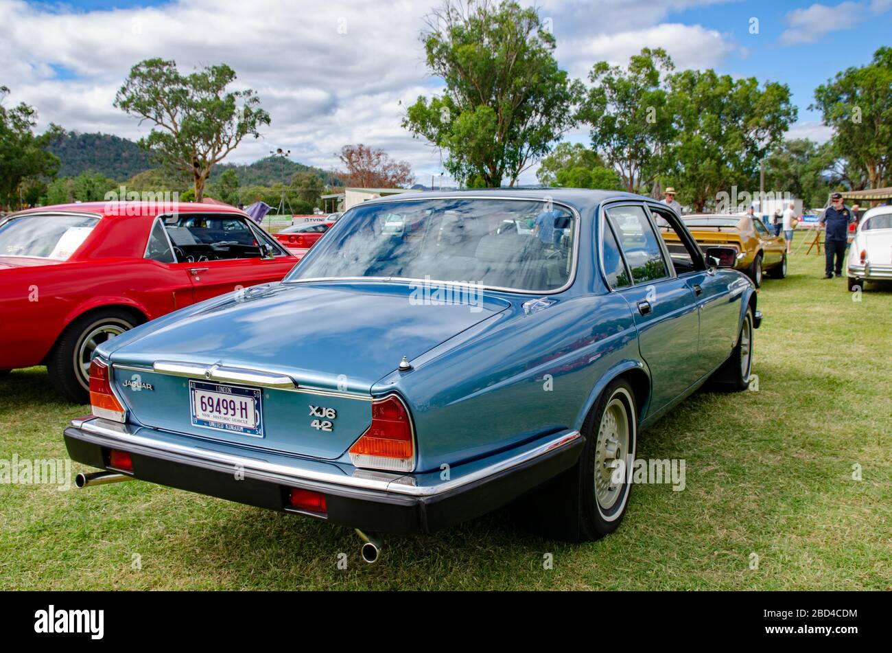 1984 Jaguar XJ6 4,2-Liter-Limousine. Stockfoto
