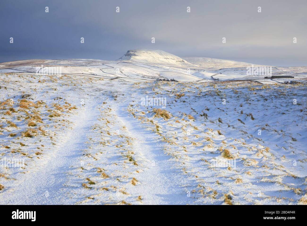 Ein Weg in der Nähe der Winskill Stones, der in Richtung Pen-y-gent im Yorkshire Dales National Park führt Stockfoto