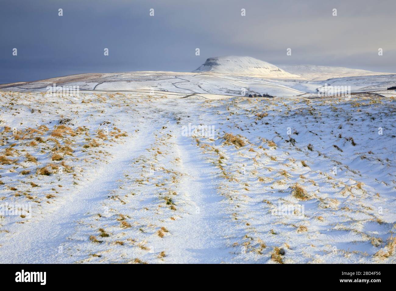 Ein Weg in der Nähe der Winskill Stones, der in Richtung Pen-y-gent im Yorkshire Dales National Park führt Stockfoto