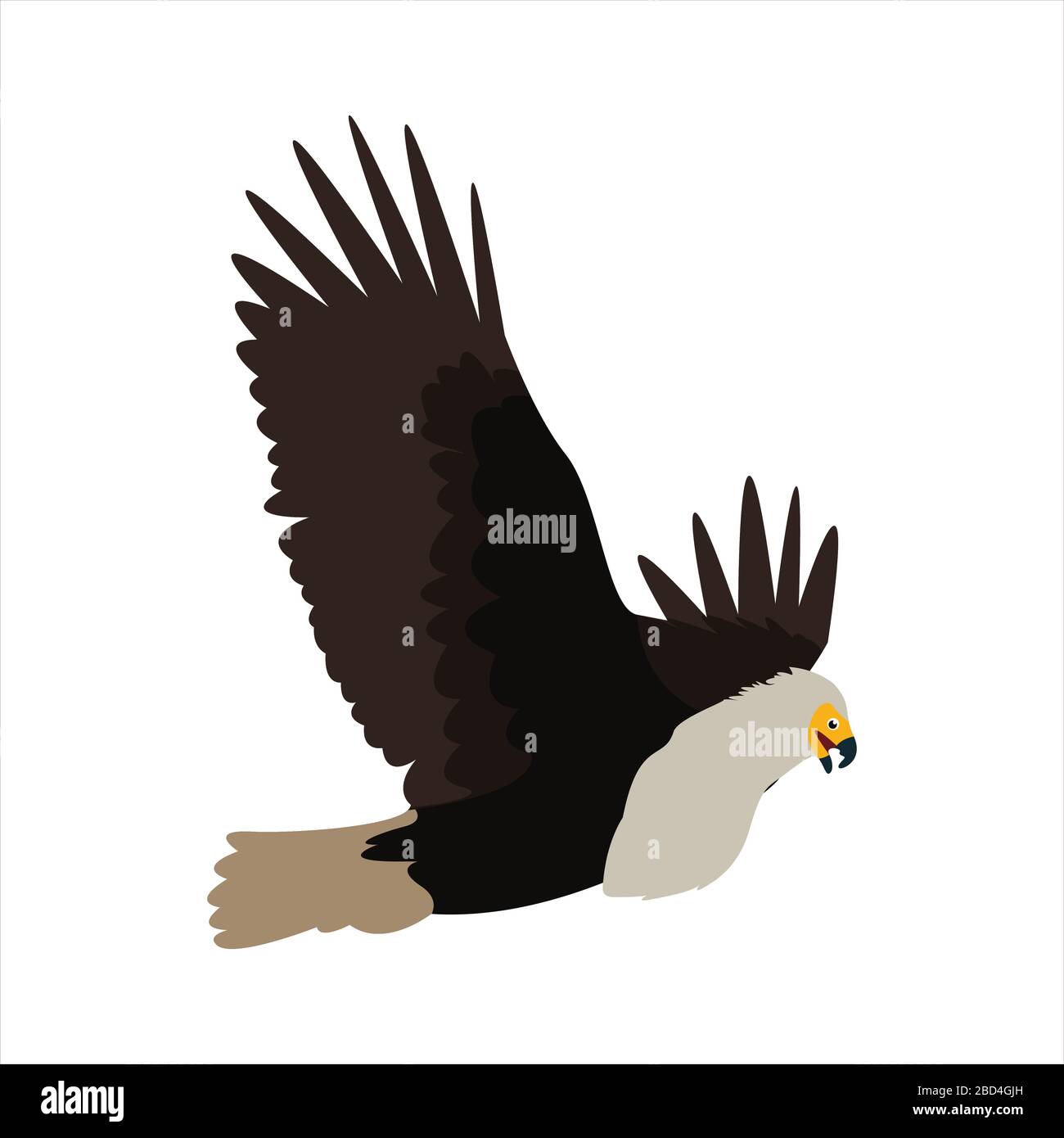 Niedlicher Tieradler Clip Art Vogel-Illustration Cartoon-Charakter Stock Vektor