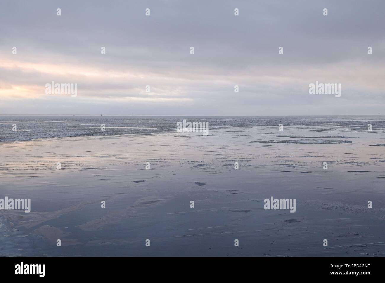 Panorama einer gefrorenen Ostsee im Winter in Sankt Petersburg. Stockfoto