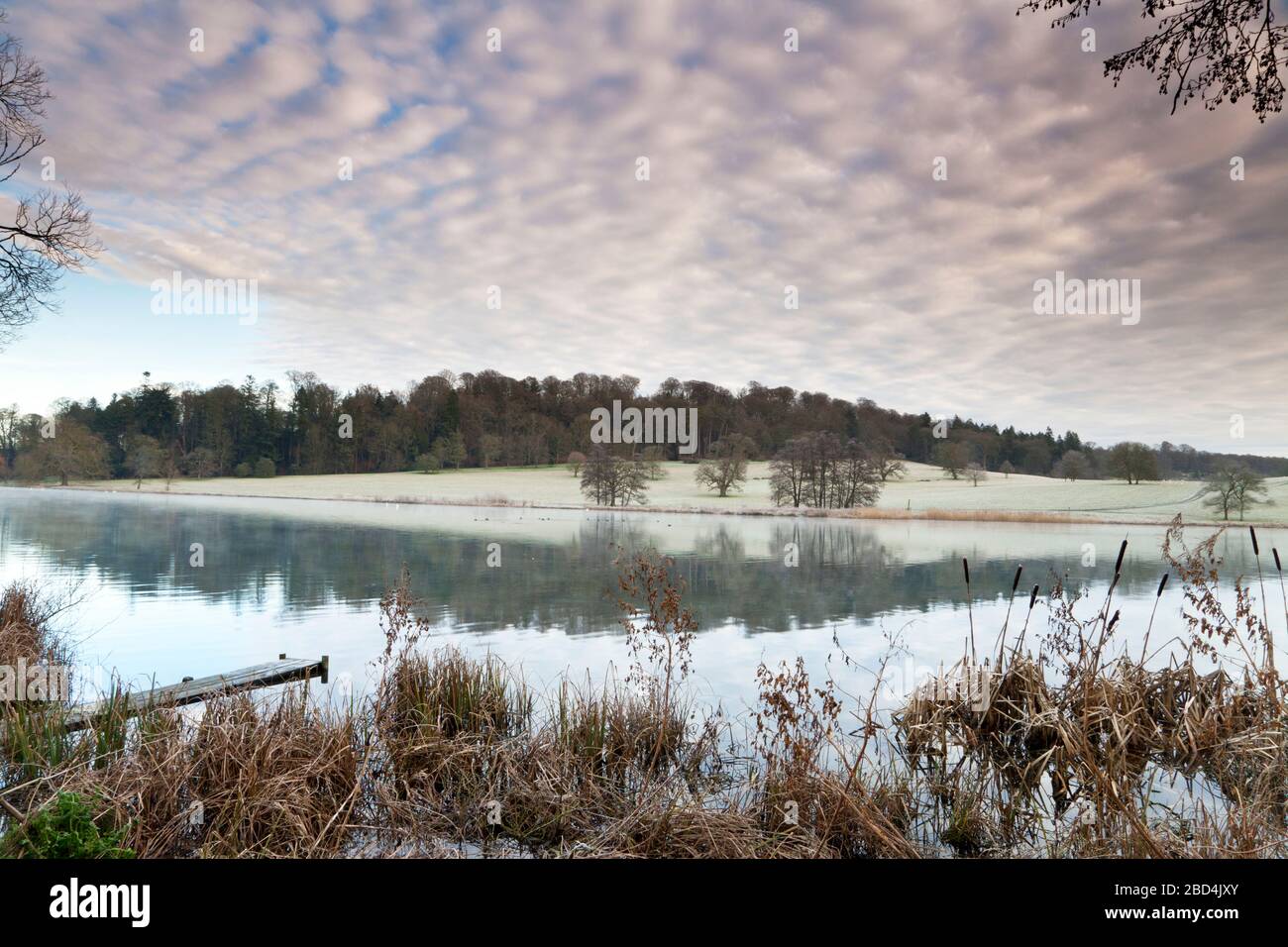 Ein Wintermorgen am Fonthill Lake in der Nähe von Tisbury in Wiltshire. Stockfoto