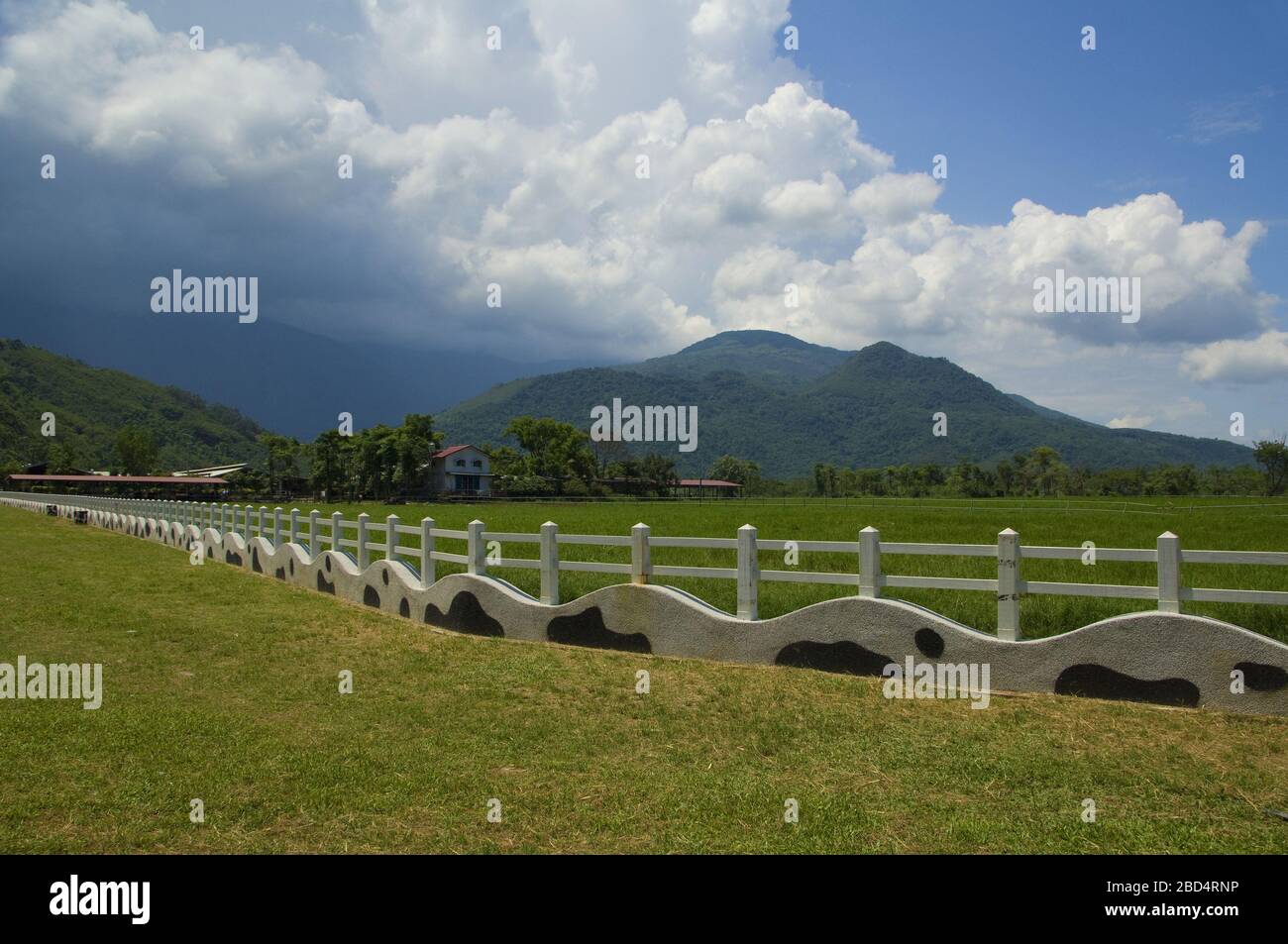 Panoramaaufnahme der Rareseed Ranch in Hualien Taiwan Stockfoto