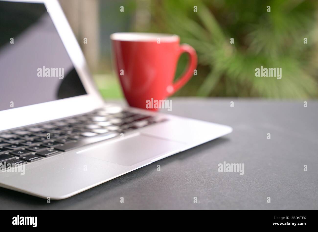 Computerlaptop mit Offee in roter Tasse mit grünem Naturhintergrund. Arbeiten Sie remote oder von zu Hause aus. Ausgewählter Fokus. Kopierbereich. Stockfoto