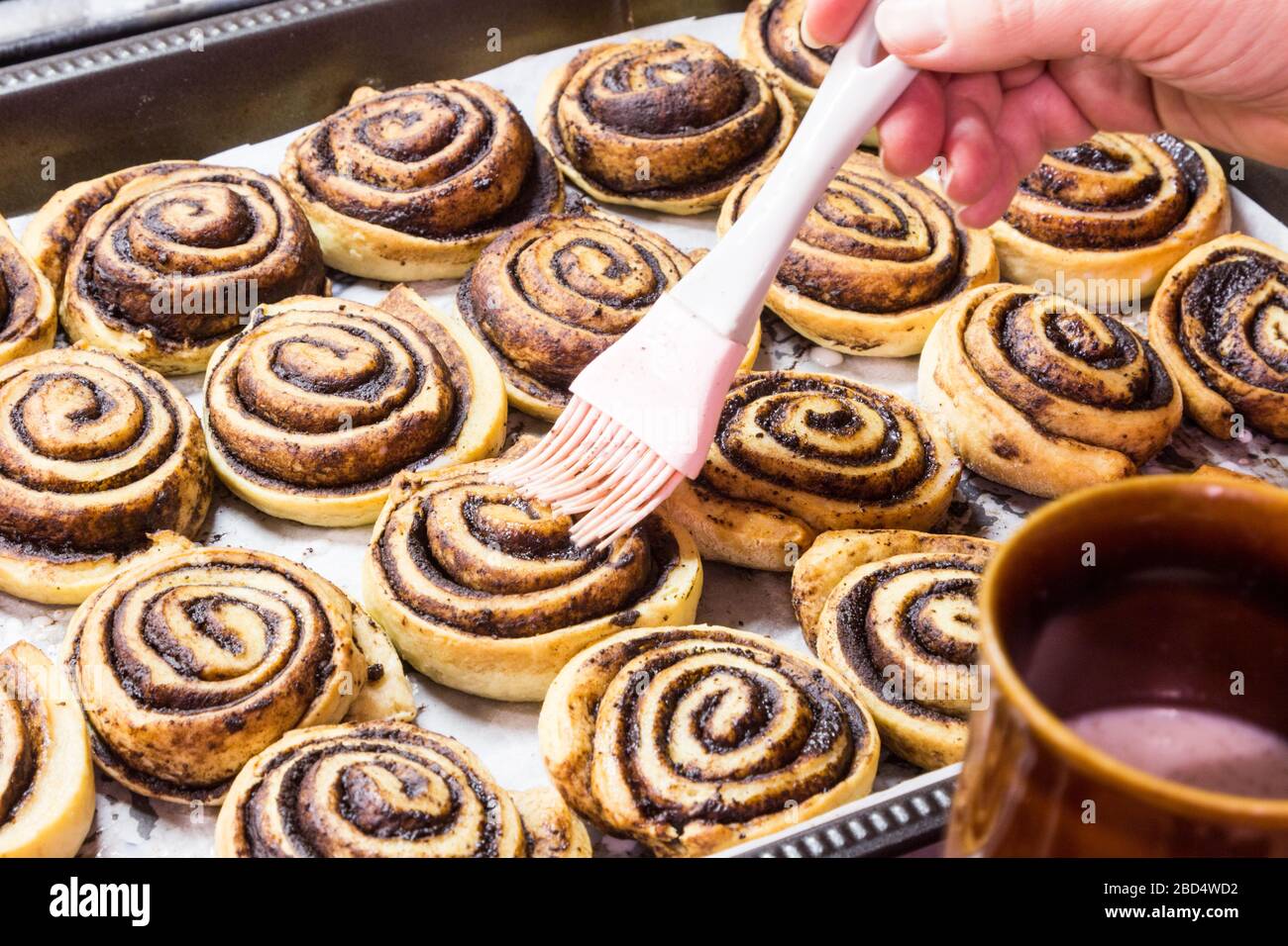 Backkakaos csiga (Kakaowirbel oder Schnecke), traditionelles ungarisches Dessert zu Hause, Ungarn, Europa Stockfoto