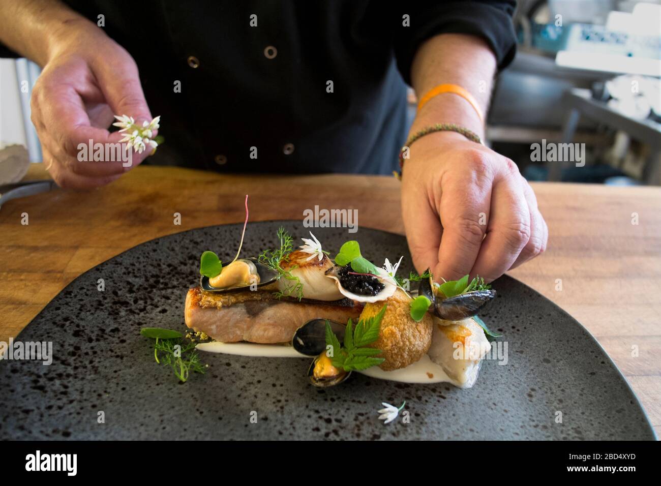 Küchenchef Mike Burgoyne platt im Whitehouse Restaurant in Lochaline auf der schottischen Halbinsel Morvern sein Forellengericht hoch Stockfoto