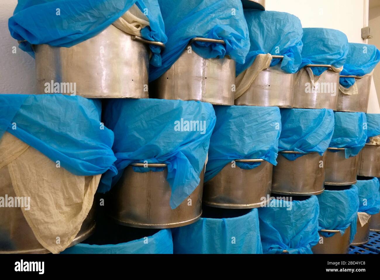 James Montgomerys Rohmilchkäse Cheddar wird in seiner Somerset Dairy in Formen gepresst Stockfoto