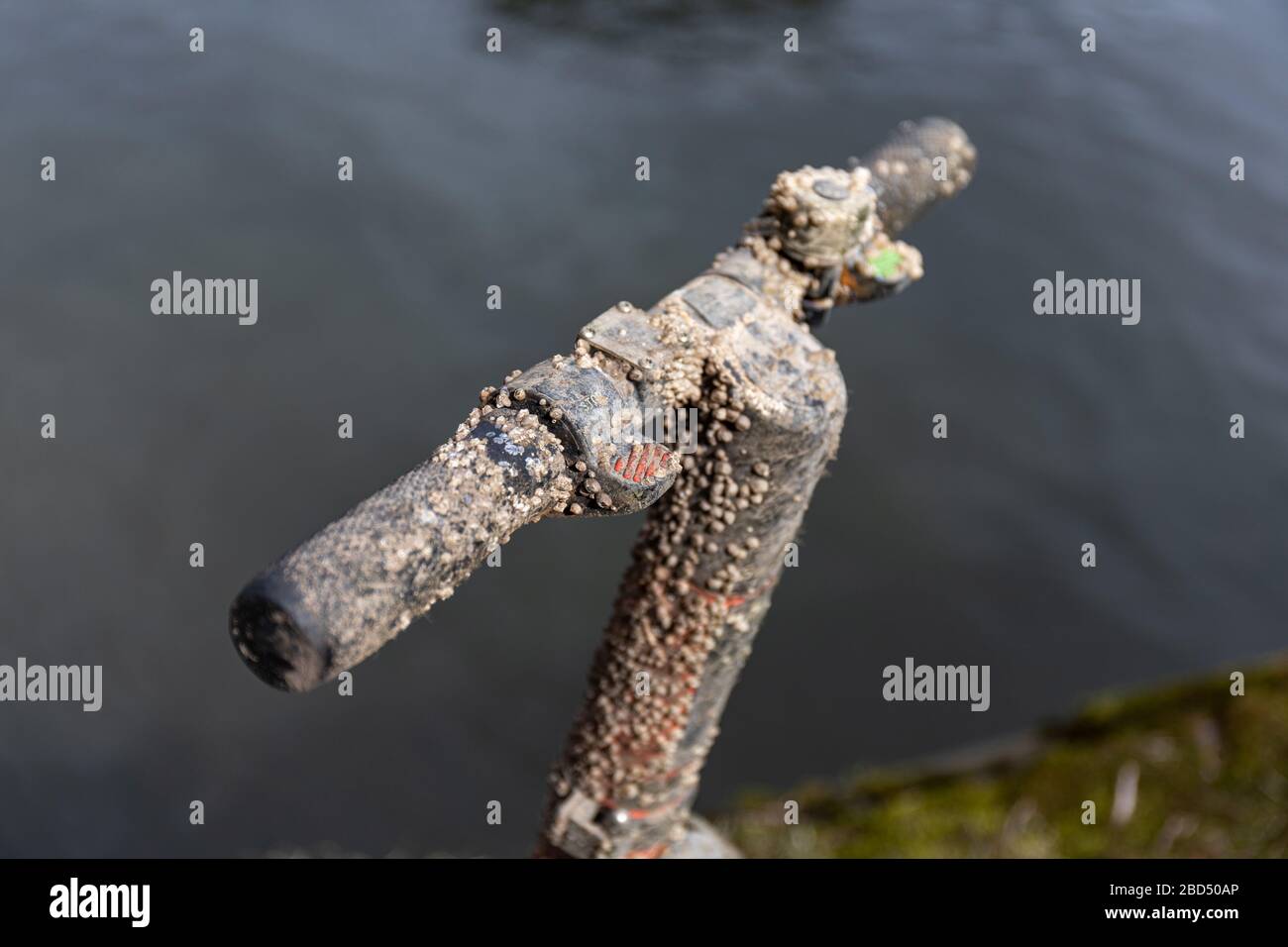 VOI geteilter Elektroroller, der aus dem Meer geborgen wurde, mit Lenker, der mit kleinen Muscheln bedeckt war, in Helsinki, Finnland Stockfoto